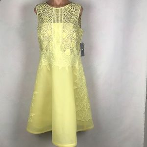 Teri Jon Rickie Freeman Sleeveless Tent Dress